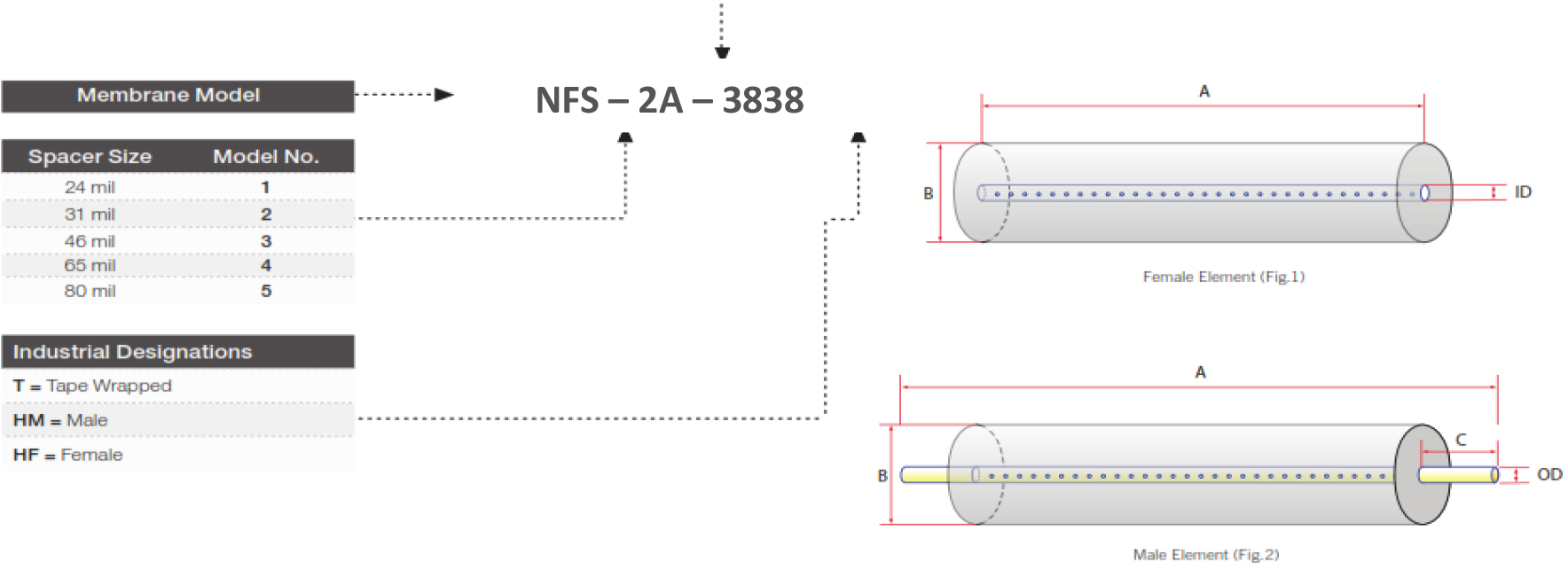 Synder_SpecificMembranes-img1